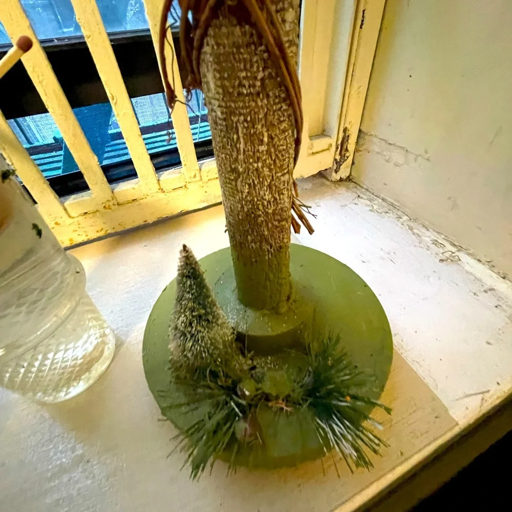 Birds feeder perfect for the spring, beautiful bird, going to come by
